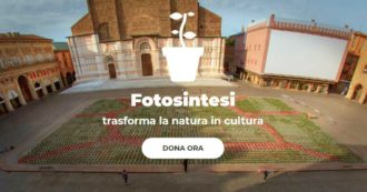 Copertina di Coronavirus, 6mila piantine colorano Piazza Maggiore a Bologna. Le Sardine: “In vendita per sostenere la cultura”. Esaurite in poche ore