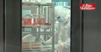 Coronavirus, dentro i laboratori italiani che testano il potenziale vaccino. “Iniziamo la produzione, poi i test dello Spallanzani” – VIDEO
