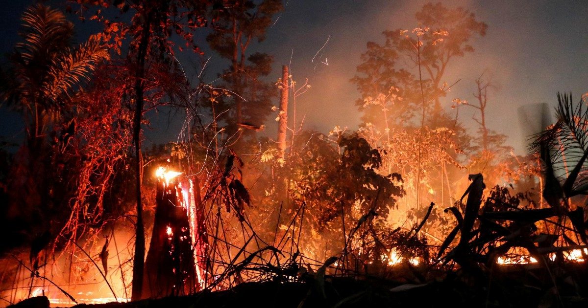 Amazzonia in fiamme per la crisi da Covid