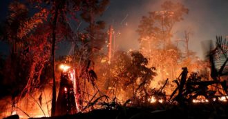 Copertina di Amazzonia in fiamme per la crisi da Covid