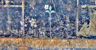 Copertina di Pompei, c’è un nuovo mistero: sul muro della villa spuntano un fiore bianco e la scritta “Mummia”