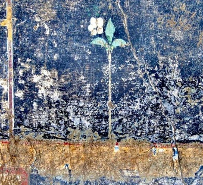Pompei, c’è un nuovo mistero: sul muro della villa spuntano un fiore bianco e la scritta “Mummia”