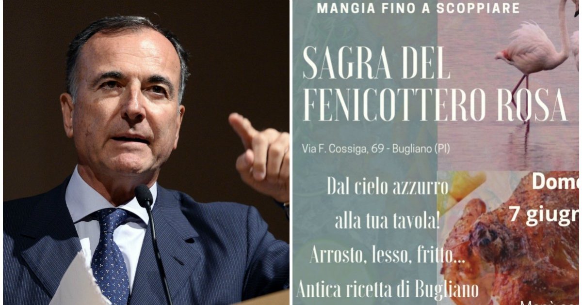 L’epic fail social dell’ex ministro Franco Frattini con l’account del Comune di Bugliano che ora vuole dargli la cittadinanza onoraria. “Mangiano i fenicotteri rosa, imbecilli”