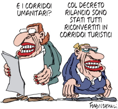 Copertina di La vignetta di Franzaroli