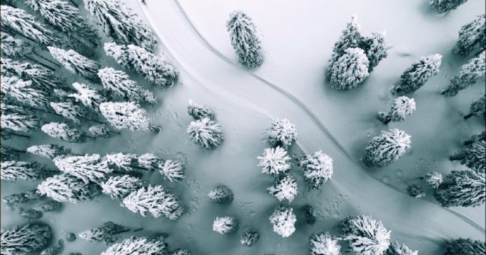 Copertina di Complotti e omicidi: tra le nevi norvegesi il noioso sci di fondo è una pista di sangue