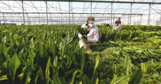 Copertina di Braccianti, ecco i numeri dell’emergenza che non c’era