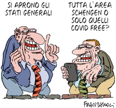 Copertina di La vignetta di Franzaroli