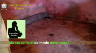 Copertina di Caporalato, nelle intercettazioni i maltrattamenti ai braccianti: “Facciamo venire le scimmie. Manca l’acqua? Gli diamo quella del canale”