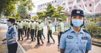 Copertina di Torna il Covid-19 al mercato: questa volta il virus è nel salmone