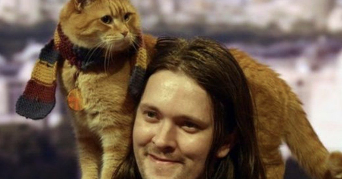 Bob è morto: addio al gatto che ha “salvato la vita” al suo padrone ex tossicodipendente diventando protagonista di libri e film