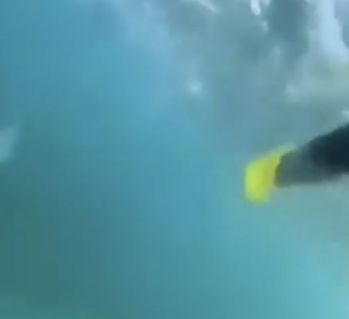 Due adolescenti si ritrovano faccia a faccia con uno squalo mentre stanno nuotando: le impressionanti immagini dell’incontro ravvicinato