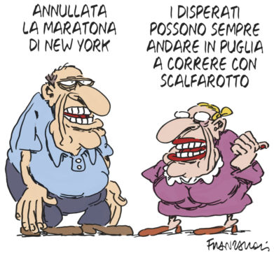 Copertina di La vignetta di Franzaroli