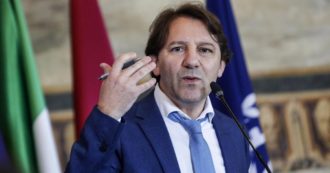 Copertina di Erano  davvero gli hacker: Tridico rifiata