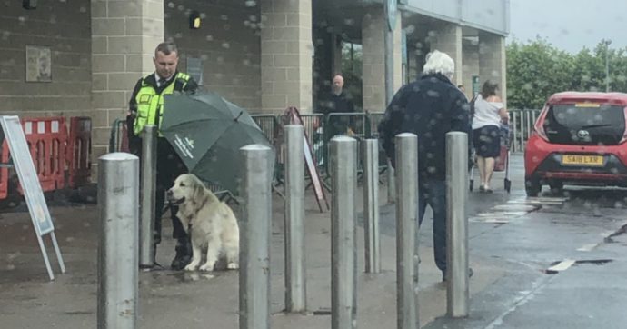 La guardia del supermercato ripara dalla pioggia il cane legato fuori: ecco cosa è accaduto in poche ore