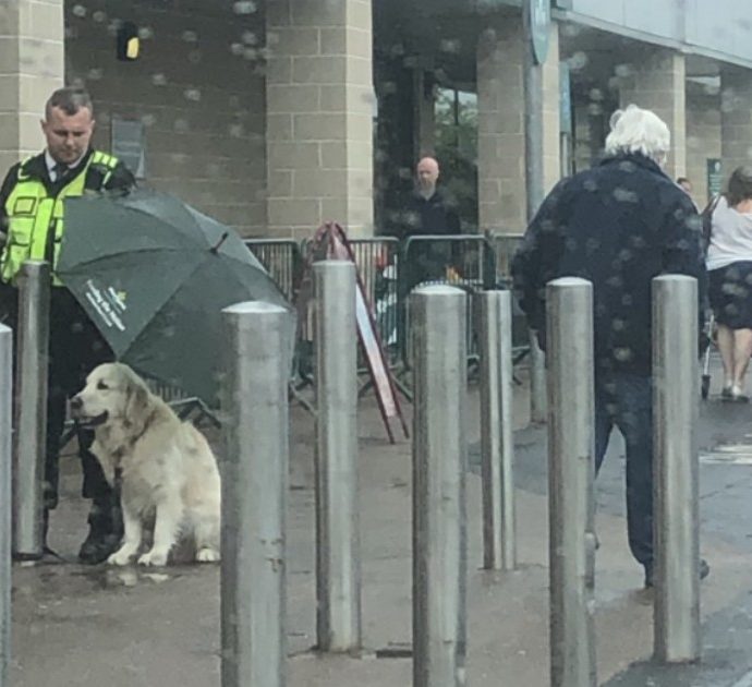La guardia del supermercato ripara dalla pioggia il cane legato fuori: ecco cosa è accaduto in poche ore