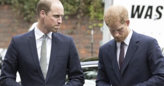 Copertina di Harry e William divisi per sempre anche sull”eredità’ della madre Diana