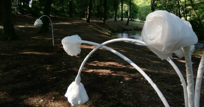 Boccioli bianchi fatti di buste di plastica riciclata: a Pavia la mostra “Per fare il mare ci vuole un fiore”. L’artista: “Vita leggibile da ciò che si butta”