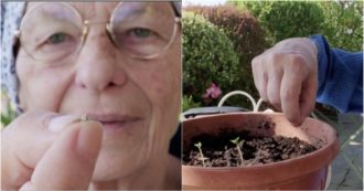 Copertina di Cannabis, Bonino aderisce alla campagna #IoColtivo e pianta un seme sul terrazzo di casa