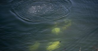 Copertina di Ustica, scoperto relitto romano in profondità. Ora, oltre i buoni propositi, servirebbero soldi