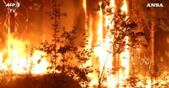Copertina di La Siberia è in fiamme: oltre 300 incendi stanno devastando la zona – Le immagini