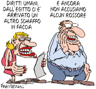 Copertina di La vignetta di Franzaroli