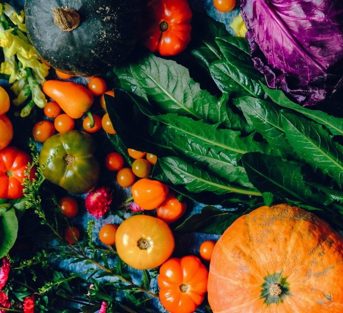 Mangiare tanta frutta e verdura migliora il benessere mentale di bimbi e ragazzi? “Vero, ma no a comportamenti ossessivi e ipercontrollanti”