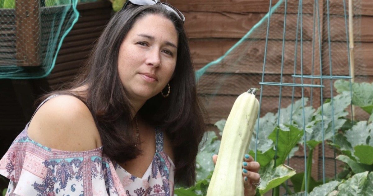 Mangia zucchine coltivate nel suo orto durante il lockdown e finisce in ospedale: erano tossiche