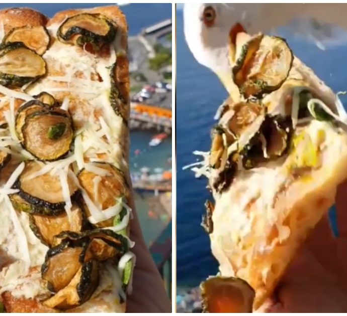 “Mi stava per staccare un dito”: quando l’ignaro food blogger con un trancio di pizza in mano incontra il gabbiano sul golfo di Sorrento