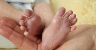Copertina di Novara, coppia abbandona in Ucraina bimba nata con maternità surrogata: rinviato a giudizio solo il padre biologico