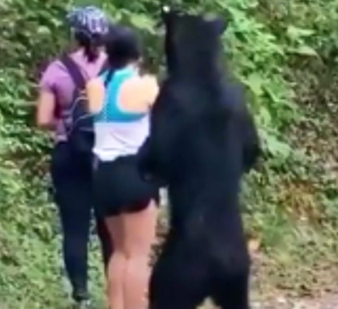L’orso è alle sue spalle ma lei resta immobile e si fa un selfie: quando la calma è olimpica