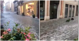 Copertina di Maltempo a Vicenza, strade come fiumi e tetti scoperchiati a Schio: le immagini