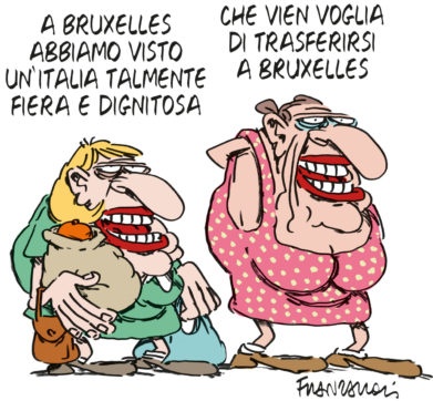 Copertina di La vignetta di Franzaroli