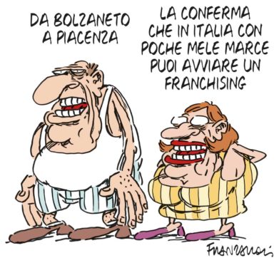 Copertina di La vignetta di Franzaroli