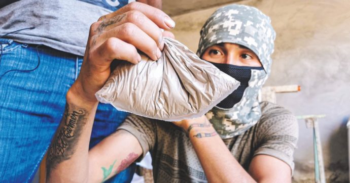 Copertina di Narcotica: In Messico sulle rotte dei trafficanti