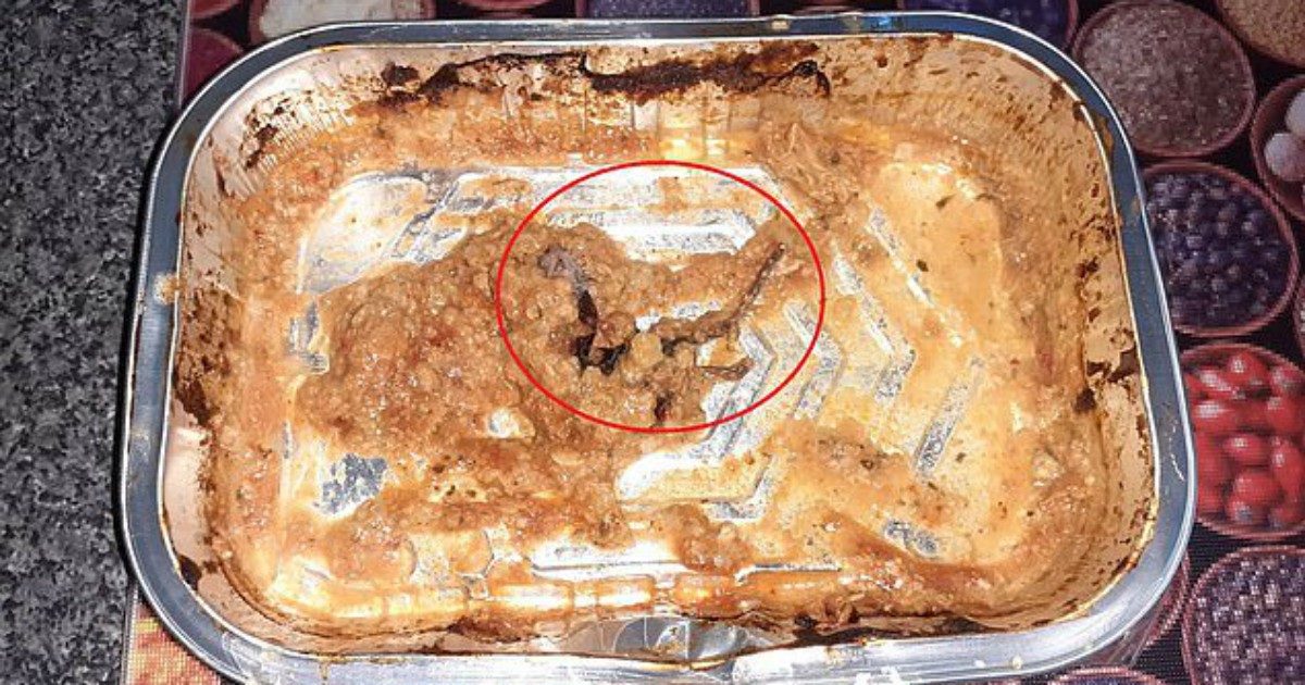 Trova un topo morto nel piatto pronto acquistato al supermercato: “Ho vomitato per 12 ore”