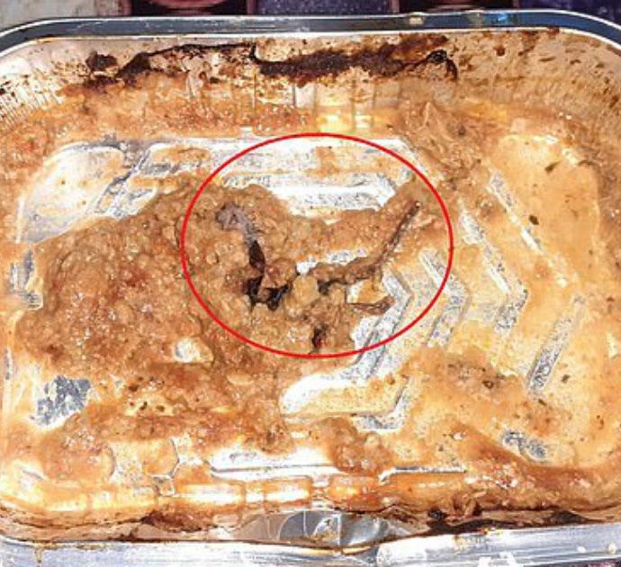 Trova un topo morto nel piatto pronto acquistato al supermercato: “Ho vomitato per 12 ore”