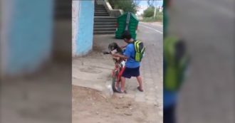Copertina di Coronavirus, il piccolo Anthony vuole proteggere il suo cagnolino dal contagio: il gesto arriva fino al presidente dell’Ecuador – Video