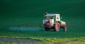Copertina di Glifosato, l’Ue verso la conferma all’uso del pesticida “probabilmente cancerogeno”. Attivisti: “Violato il principio di precauzione”