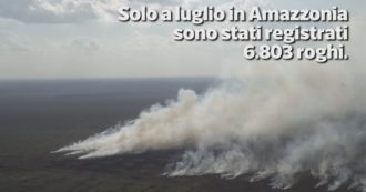 Copertina di L’Amazzonia va in fumo, incendi aumentati del 28%. In volo sui roghi: Sono stati 6803 solo nel mese di luglio