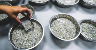 Copertina di Truffa dei diamanti, Bpm rimborsa il 60%: “Lo ordina la Bce”. Francoforte: “Mai fatto”