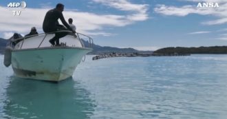 Copertina di Mauritius, si lavora per salvare il paradiso sfregiato dal petrolio fuoriuscito dalla nave arenata vicino alla barriera corallina