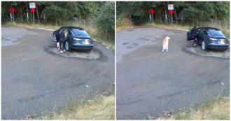 Copertina di Abbandona il cane nel parcheggio e poi fugge via: il video che incastra la proprietaria