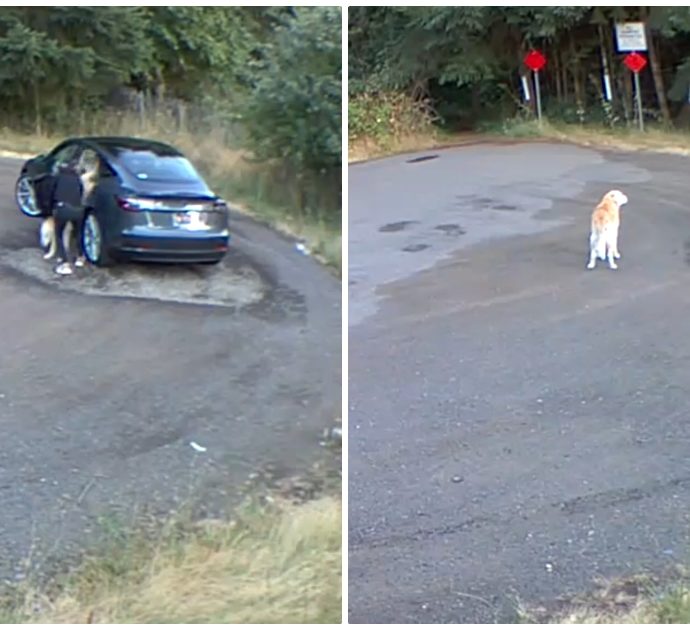 Abbandona il cane nel parcheggio e poi fugge via: il video che incastra la proprietaria
