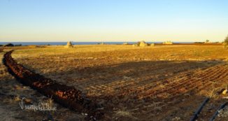 Copertina di Costa Ripagnola (Puglia), gli ambientalisti: “Lo chiamano Parco, ma danno il via alle speculazioni”
