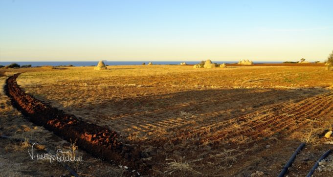 Copertina di Costa Ripagnola (Puglia), gli ambientalisti: “Lo chiamano Parco, ma danno il via alle speculazioni”