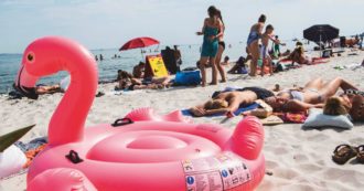 Copertina di Figlio adolescente in cerca di wi-fi “adotta” mantide