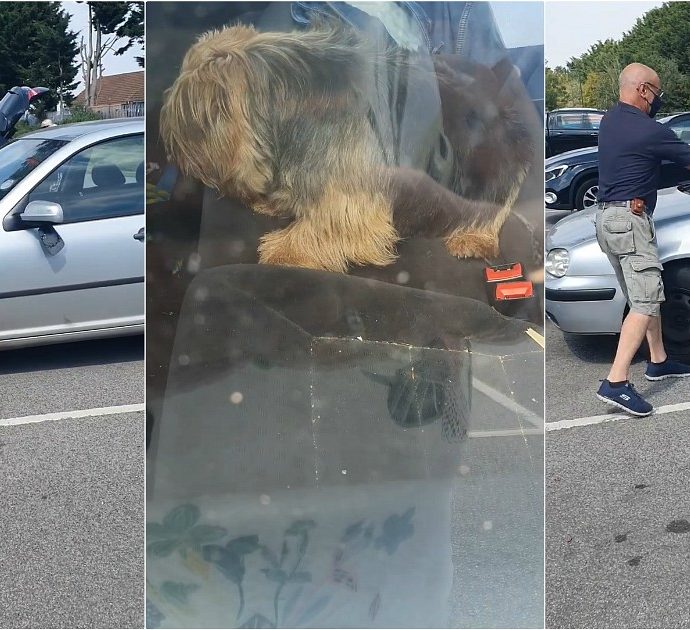 Cagnolino abbandonato in auto sotto il sole: un passante distrugge il finestrino. Il video del salvataggio