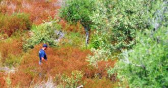 Copertina di “Viviana Parisi è fuggita in un’altra direzione”: l’indicazione del testimone sposta le ricerche del piccolo Gioele sulla collina