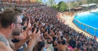 “Allo Zoomarine evento con spettatori seduti vicinissimi e senza mascherina”: la denuncia dell’associazione animalista. Il video