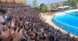 Zoomarine di Pomezia chiuso per 5 giorni. Il Comune: “Violate le norme anti-Covid”